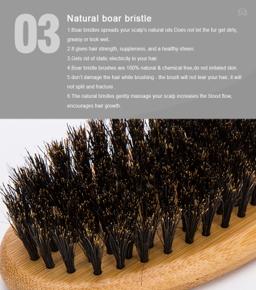 Double-Sided Pet Brush Comb & Hair Remover