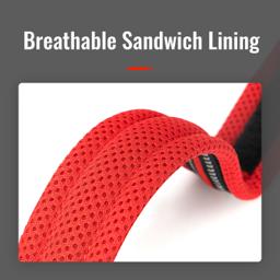 Adjustable Mesh Padded Pet Collar