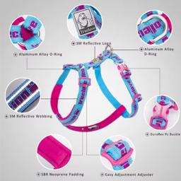 Neoprene Padded Adjustable Dog Harness