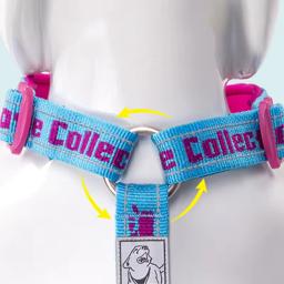Neoprene Padded Adjustable Dog Harness