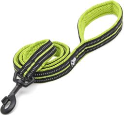 Reflective Mesh-Padded Dog Lead