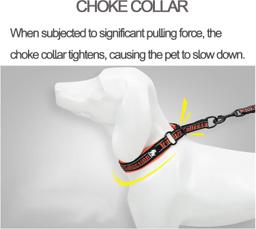 Adjustable Reflective Nylon Dog Collar