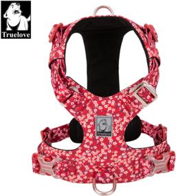 Lightweight Floral Dog Harness