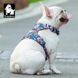 Lightweight Floral Dog Harness