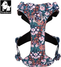 Lightweight Floral Dog Harness