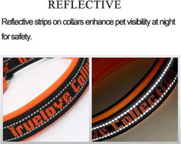 Adjustable Reflective Nylon Dog Collar