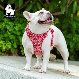 Lightweight Floral Dog Harness