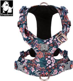 Lightweight Floral Dog Harness