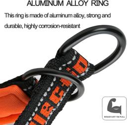 Adjustable Reflective Nylon Dog Collar