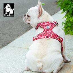 Lightweight Floral Dog Harness