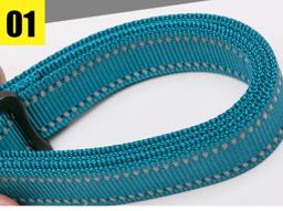 Adjustable Reflective Hands-Free Dog Lead