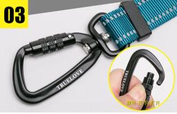 Adjustable Reflective Hands-Free Dog Lead