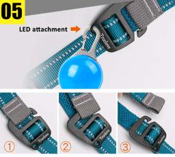 Adjustable Reflective Hands-Free Dog Lead