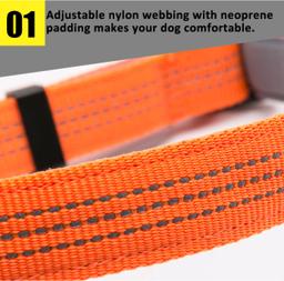 Reflective Neoprene-Padded Dog Collar
