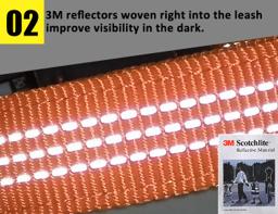 Reflective Neoprene-Padded Dog Collar