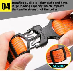 Reflective Neoprene-Padded Dog Collar