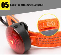 Reflective Neoprene-Padded Dog Collar
