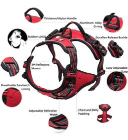 Padded Dog Harness with Dual Lead Attachments
