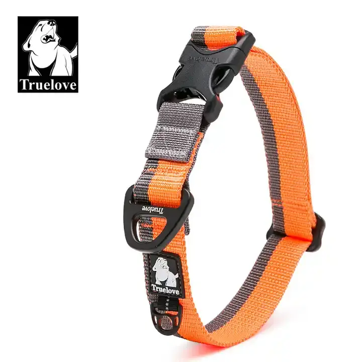 Dog Collar Nylon