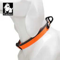 Dog Collar Nylon