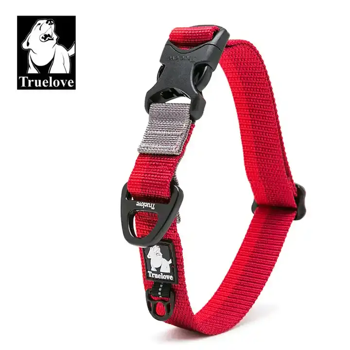 Dog Collar Nylon