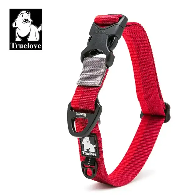 Dog Collar Nylon