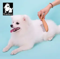 Pet Comb + Brush Stainless Steel Dog and Cat
