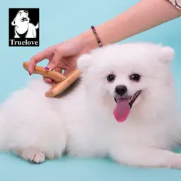 Pet Comb + Brush Stainless Steel Dog and Cat