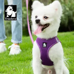 AirFit Nylon Puppy/Kitten Small Pet Harness