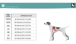 Eco-Friendly Light Pet Harness