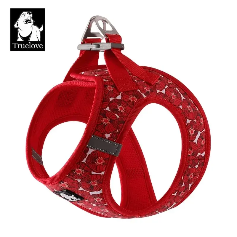 Summer Easy Fit Quick-Release Pet Harness with Dual D-Rings