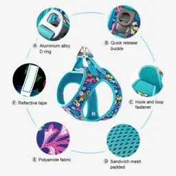 Summer Easy Fit Quick-Release Pet Harness with Dual D-Rings