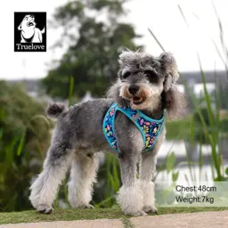 Summer Easy Fit Quick-Release Pet Harness with Dual D-Rings