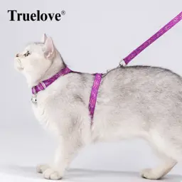 Pet Cat Harness
