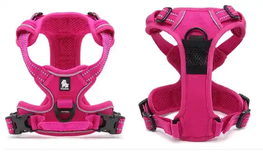 Reflective All Weather Pet Harness
