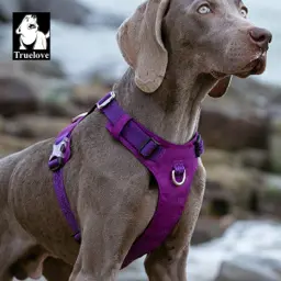 Lightweight Dog Harness