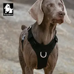 Lightweight Dog Harness