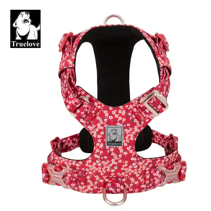 Floral Light Pet Harness