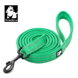 Soft Padded Mesh Dog Leash - 110cm Length