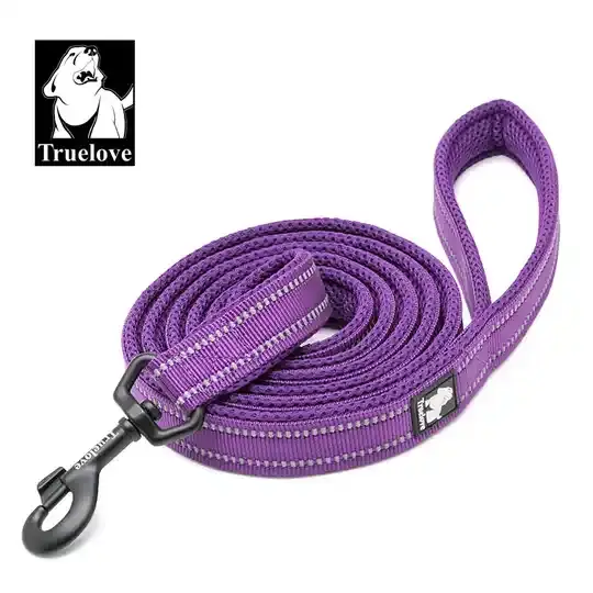 Soft Padded Mesh Dog Leash - 110cm Length