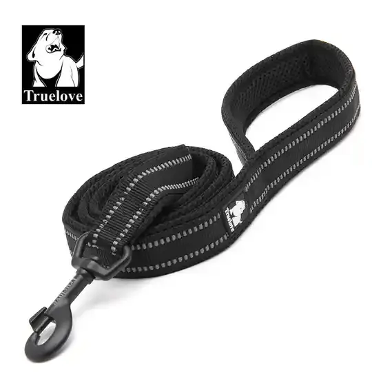 Soft Padded Mesh Dog Leash - 200cm Length
