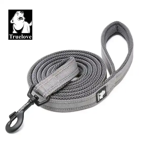 Soft Padded Mesh Dog Leash - 200cm Length