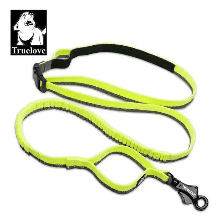 Adjustable Nylon Elastic Retractable Bungee Pet Leash