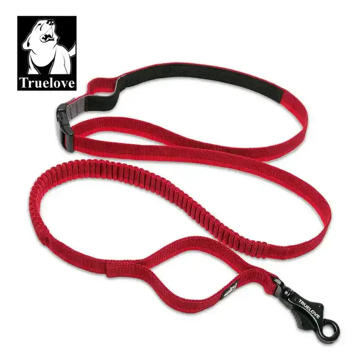Adjustable Nylon Elastic Retractable Bungee Pet Leash