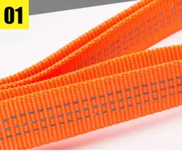 Nylon Reflective Pet Leash