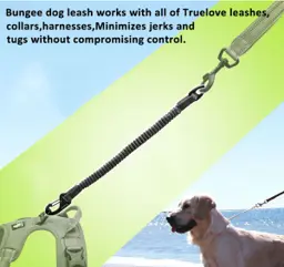 Short Bungee Nylon Pet Leash