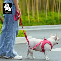 Eco Friendly Recycled Material Pet Leash