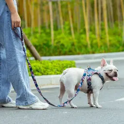 Floral Design Soft Material Pet Leash