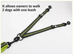 Double Pet Leash Nylon Reflective