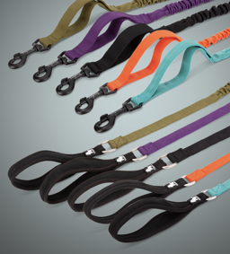 Neoprene Padded Handle Bungee Dog Leash